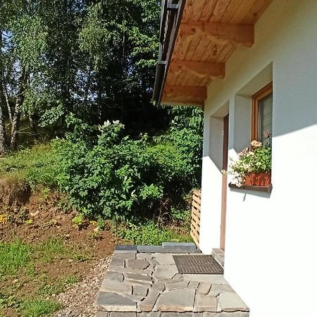 Pod Brzozami Apartment Bialka Tatrzanska Exterior photo